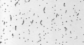 Плита BAJKAL Board 90 600х600х12 мм